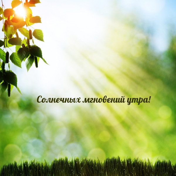 Солнечных мгновений утра!