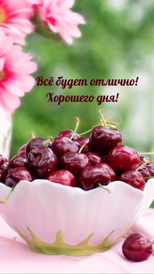 Всё будет отлично! Хорошего дня!