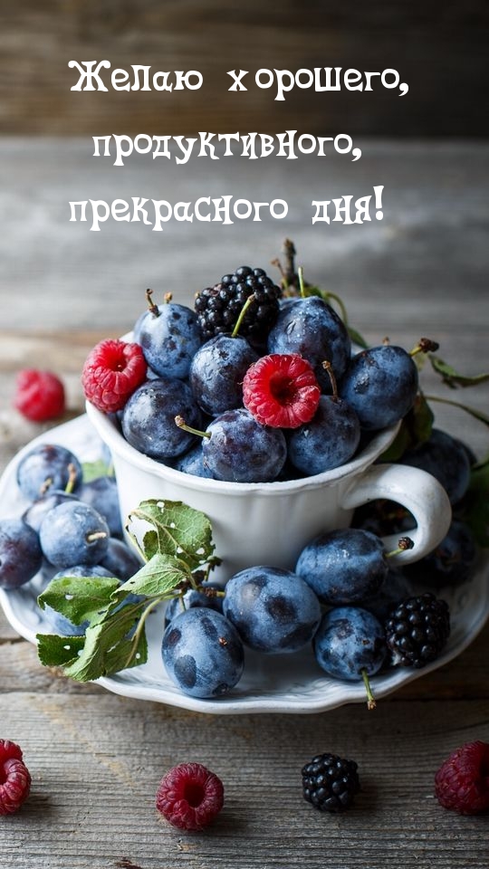 Желаю хорошего, продуктивного, прекрасного дня!