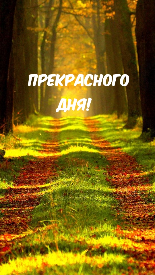 Прекрасного дня!