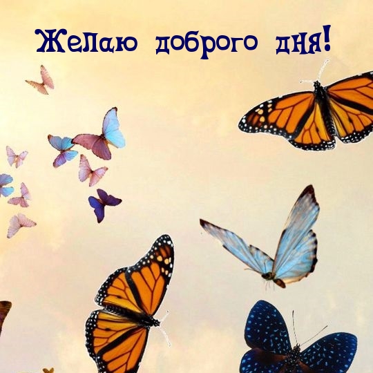 Желаю доброго дня!
