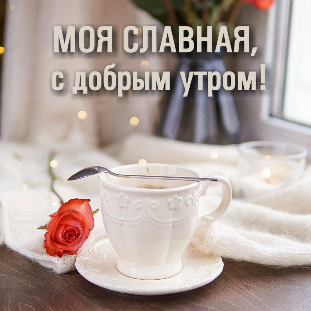 Моя славная, с добрым утром!