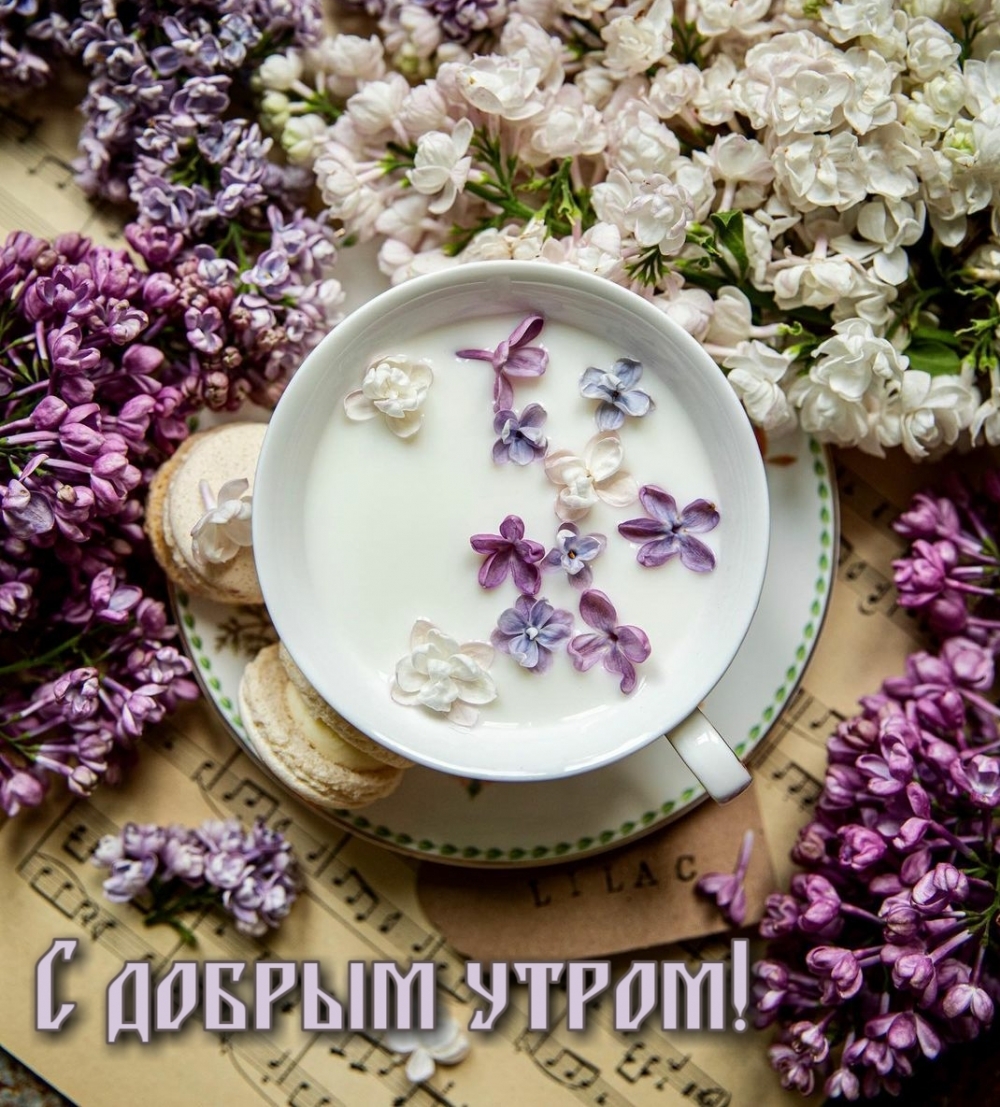 С добрым утром!