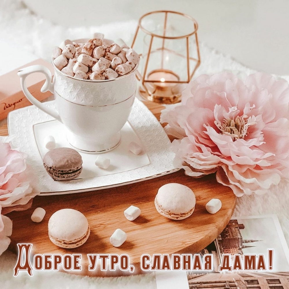 Доброе утро, славная дама!