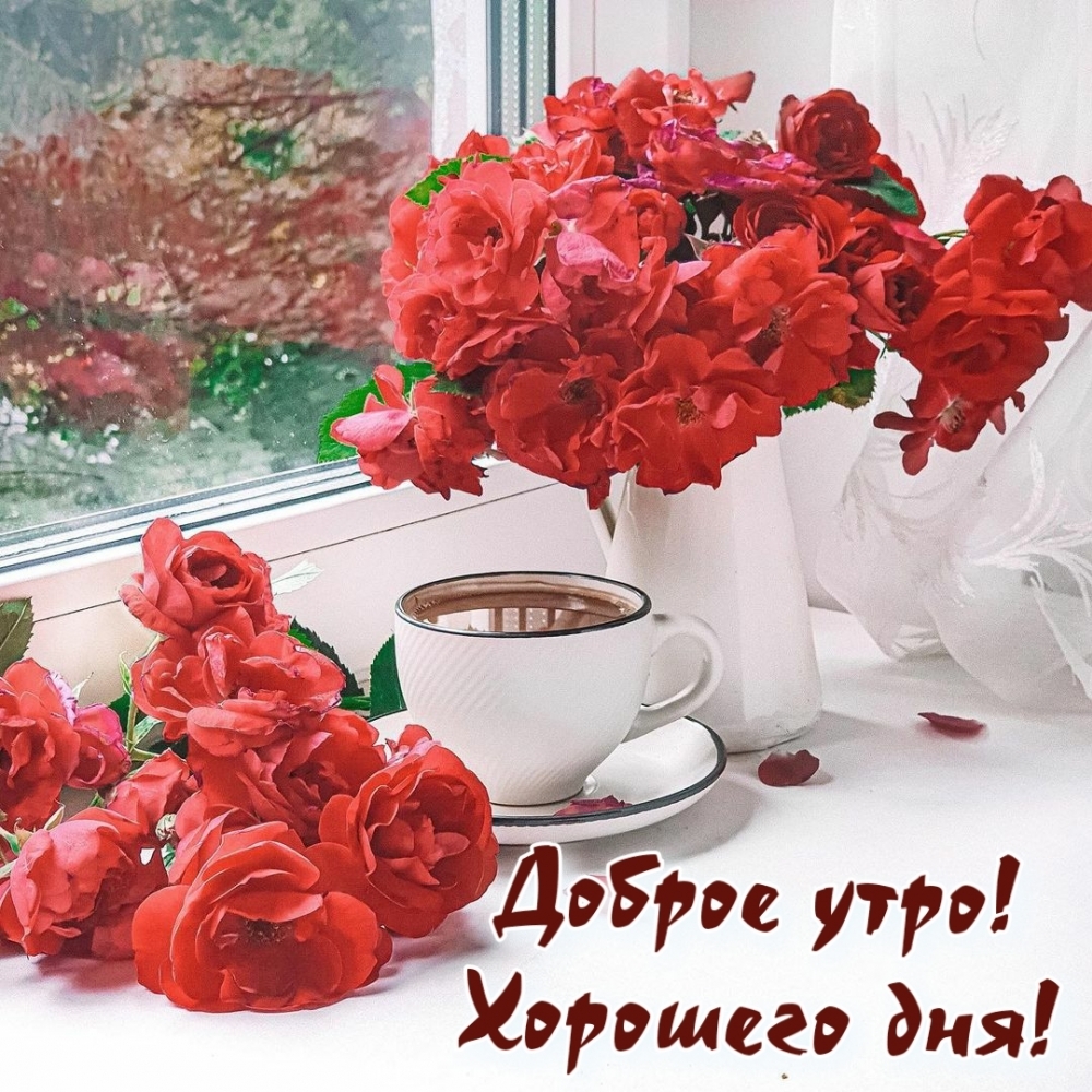 Доброе утро! Хорошего дня!