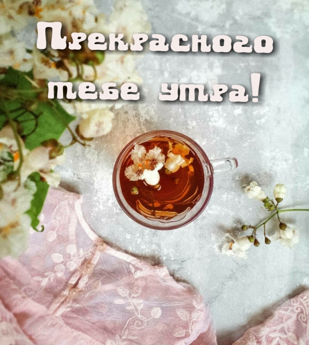 Прекрасного тебе утра!