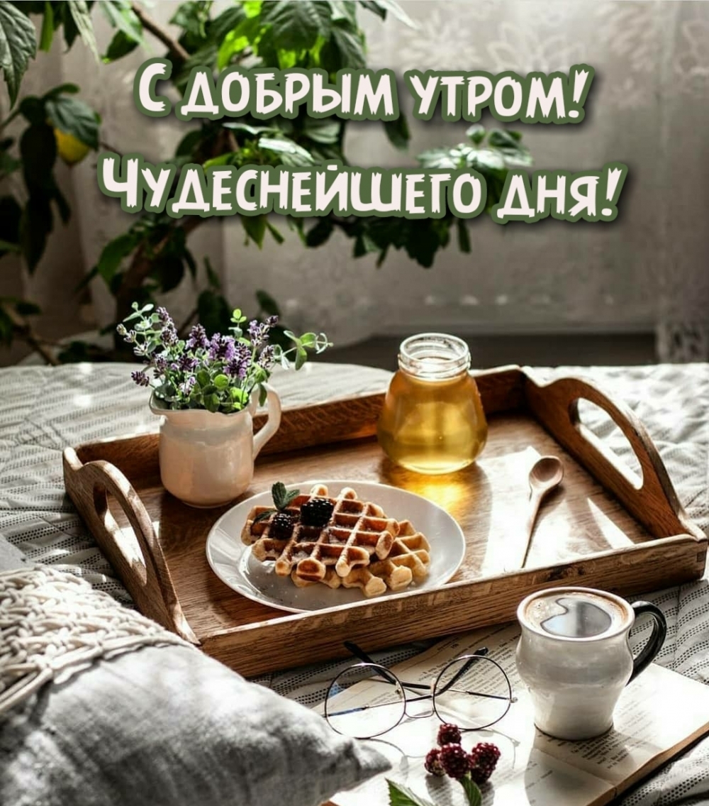 С добрым утром! Чудеснейшего дня!