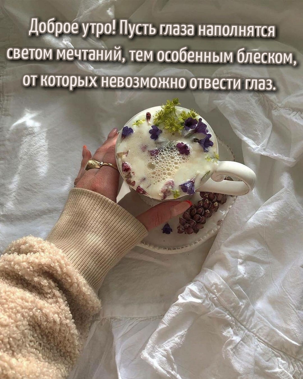 Доброе утро! Пусть глаза наполнятся светом мечтаний