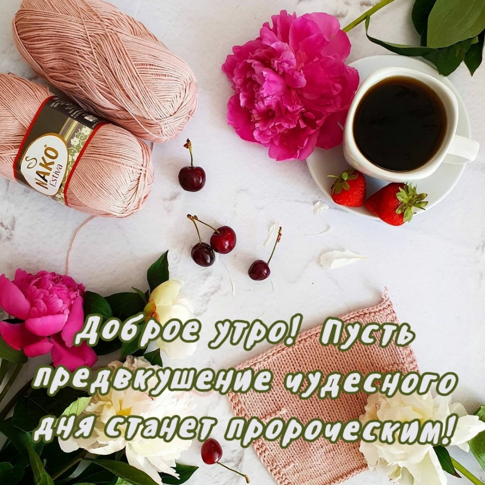 Доброе утро! Пусть предвкушение чудесного дня станет пророческим!