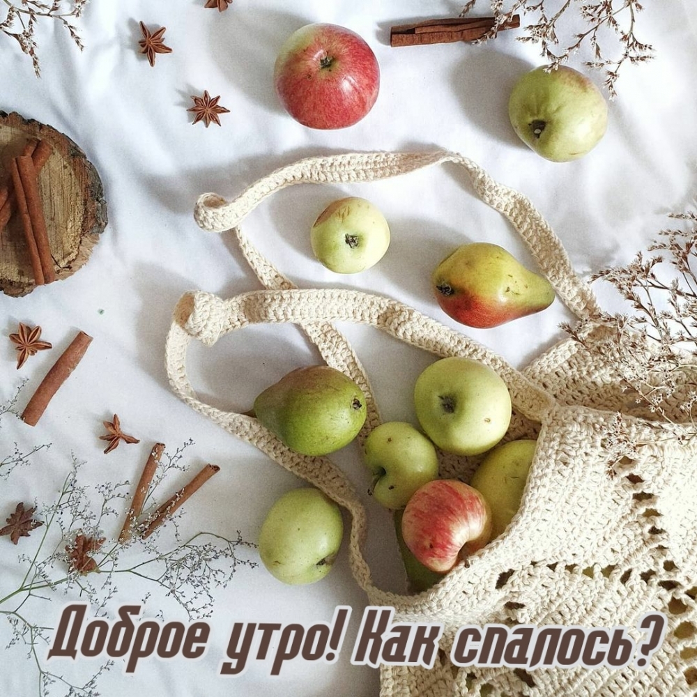 Доброе утро! Как спалось?