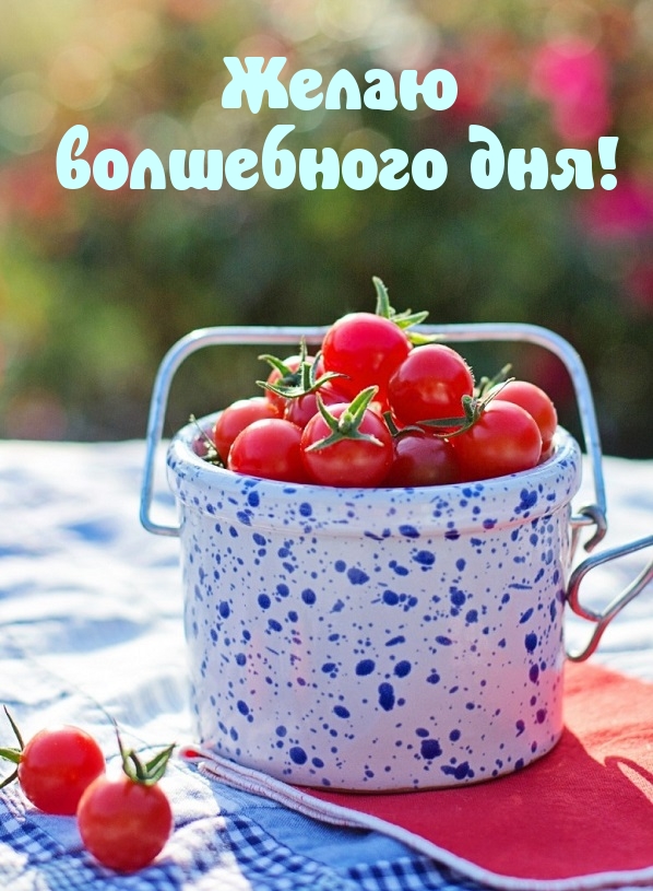 Желаю волшебного дня!