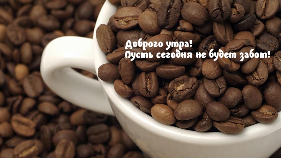 Доброго утра! Пусть сегодня не будет забот!