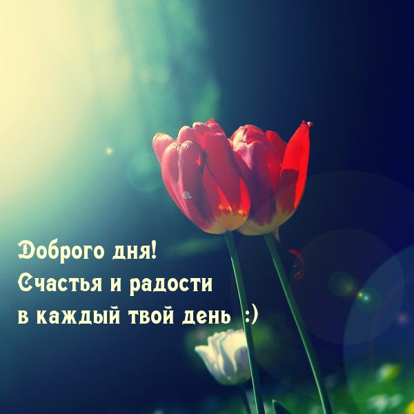Доброго дня! Счастья и радости в каждый твой день :)
