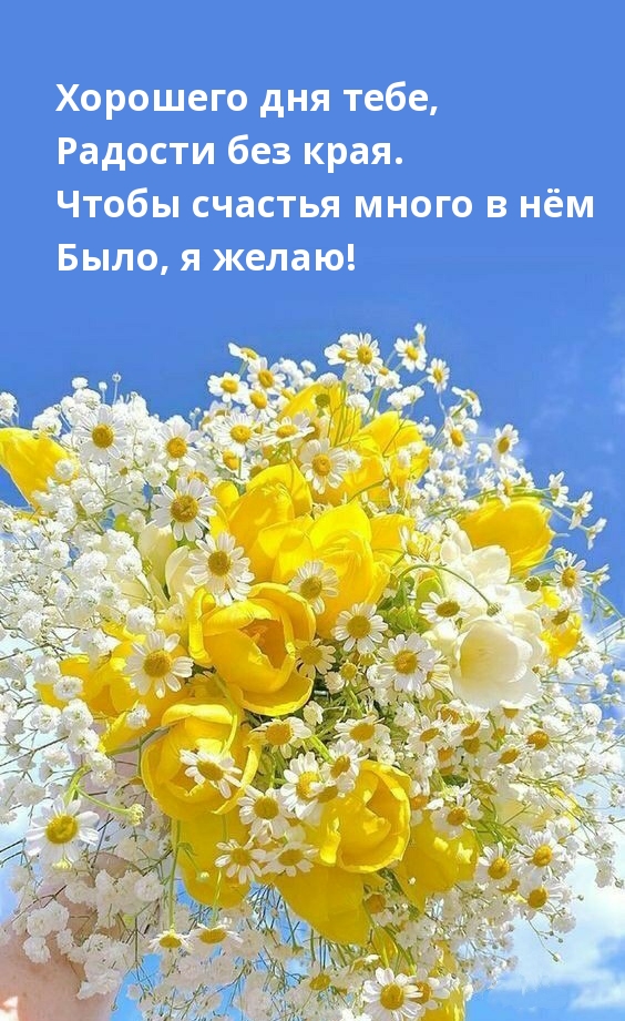 Хорошего дня тебе, радости без края.