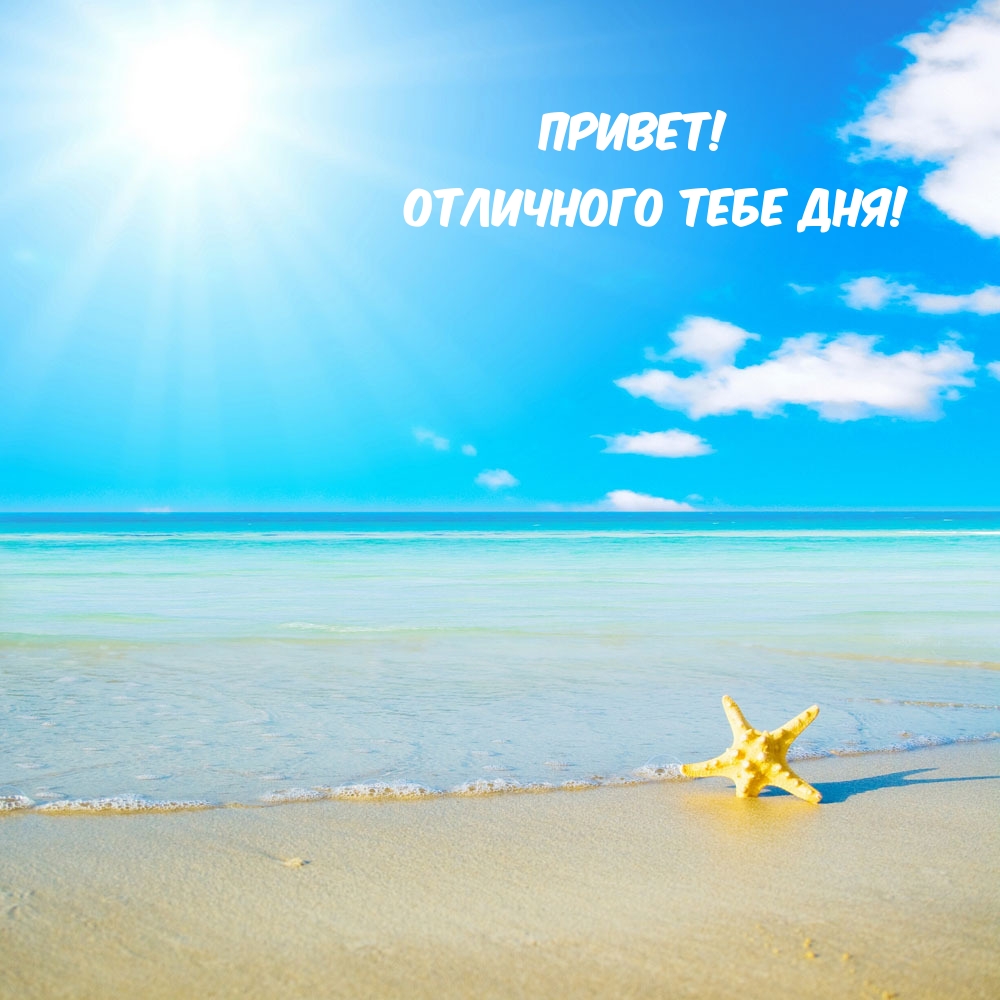 Привет! Отличного тебе дня!