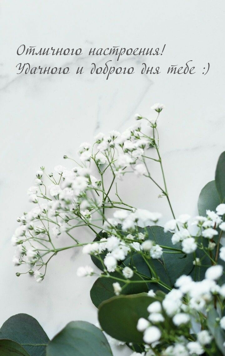 Отличного настроения! Удачного и доброго дня тебе :)