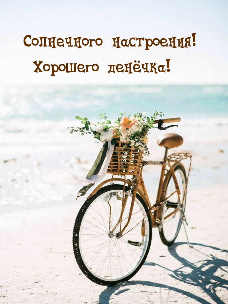 Солнечного настроения! Хорошего денëчка!