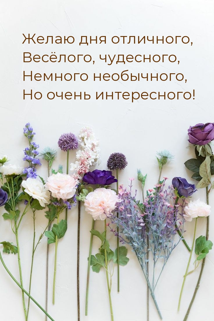 Желаю дня отличного, весёлого, чудесного