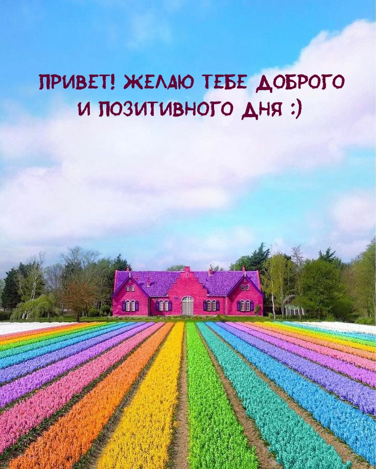 Привет! Желаю тебе доброго и позитивного дня :)
