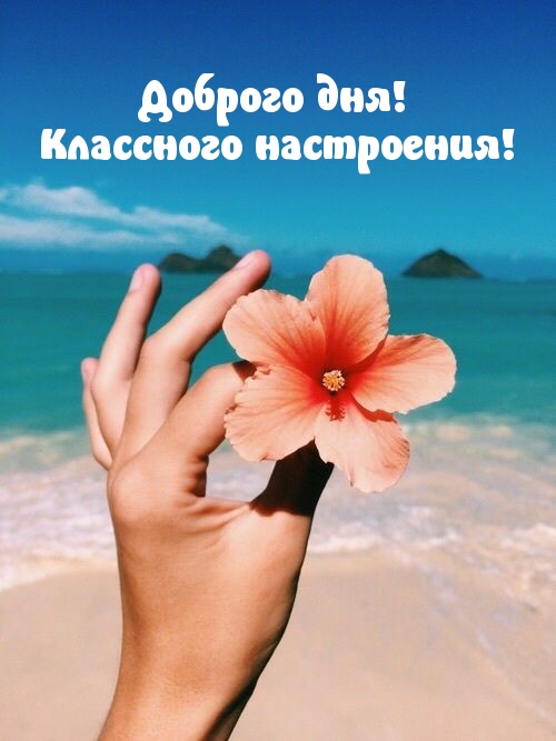 Доброго дня! Классного настроения!