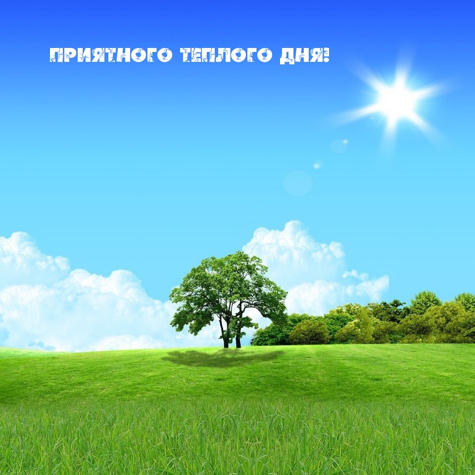 Приятного теплого дня!