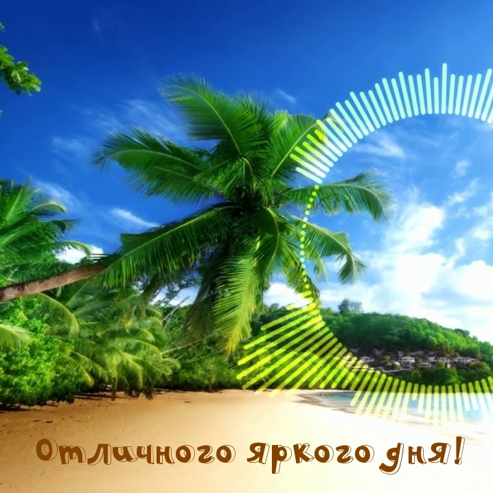 Отличного яркого дня!