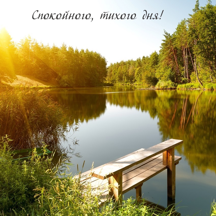 Спокойного, тихого дня!