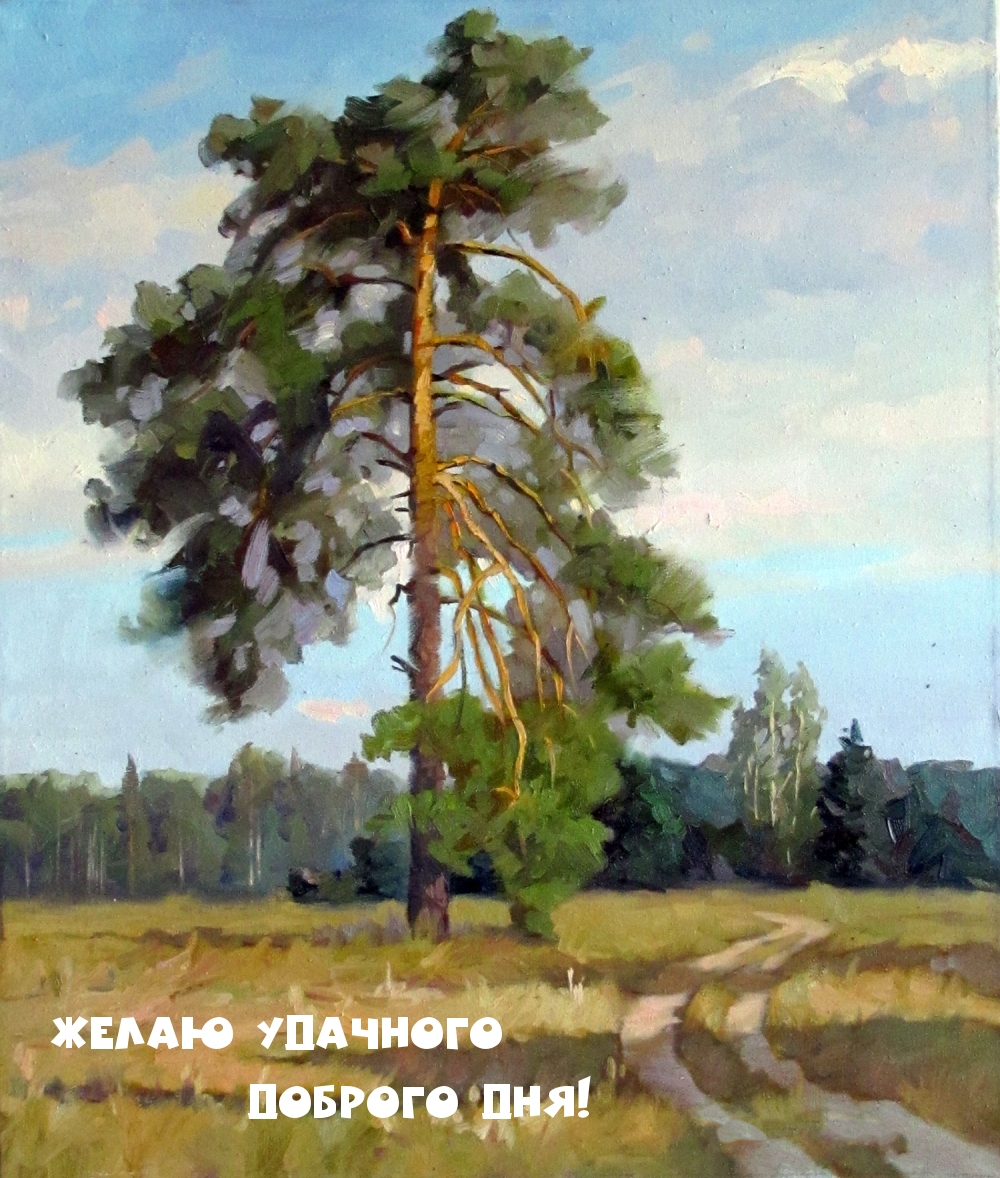 Желаю удачного доброго дня!