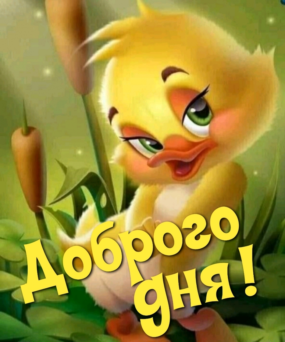 Доброго дня!
