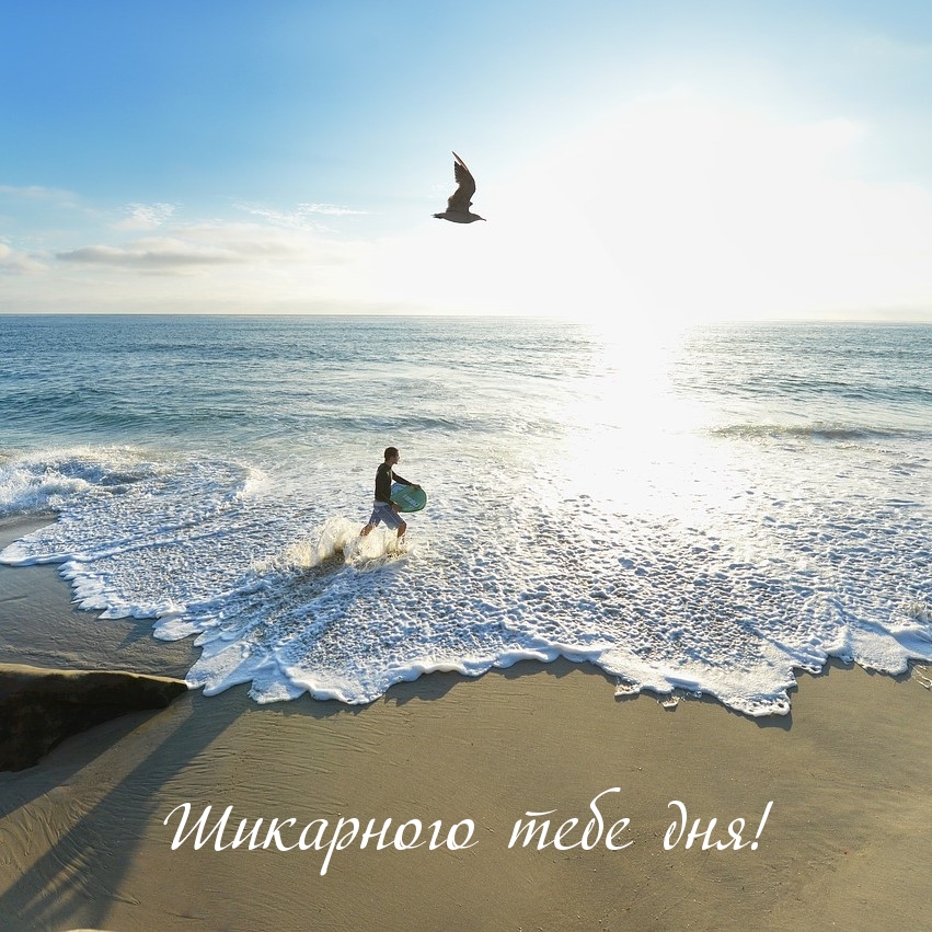 Шикарного тебе дня!