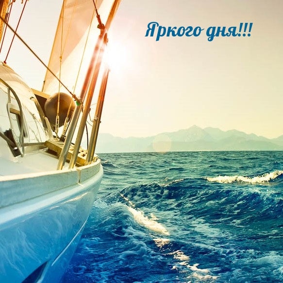 Яркого дня!