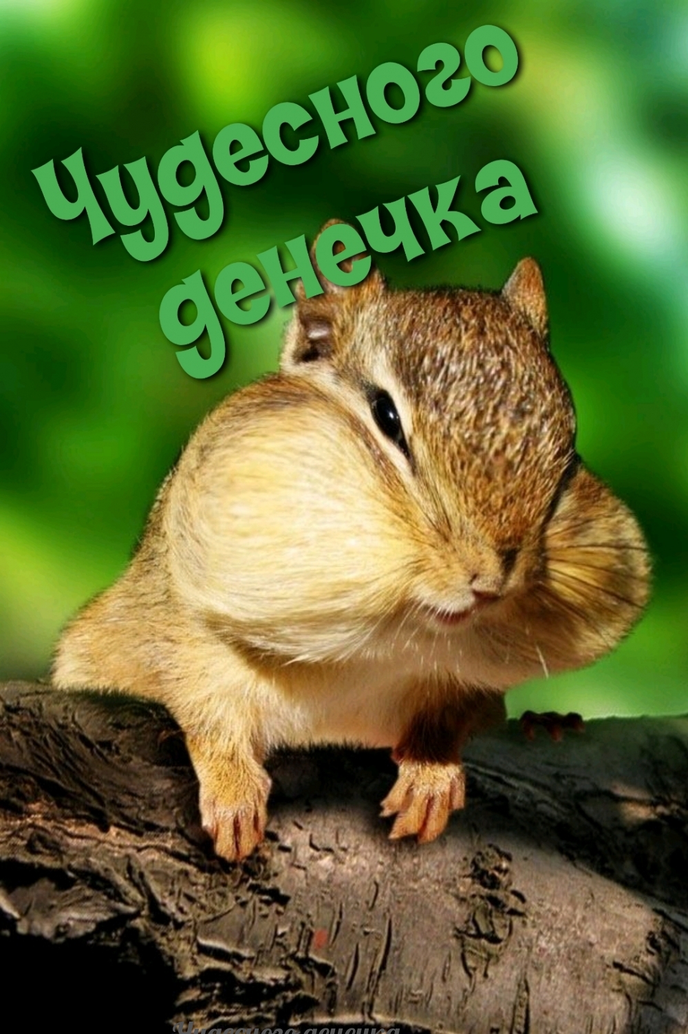 Чудесного денечка
