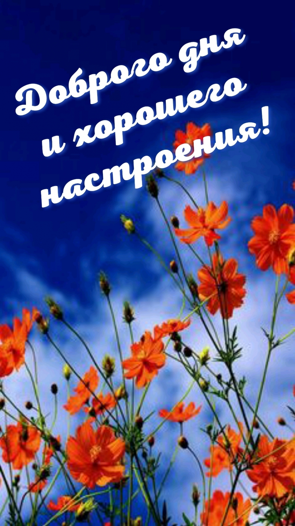 Доброго дня и хорошего настроения!