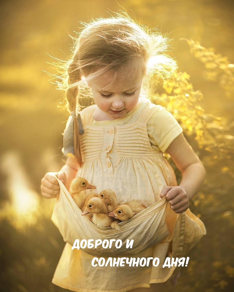 Доброго и солнечного дня!