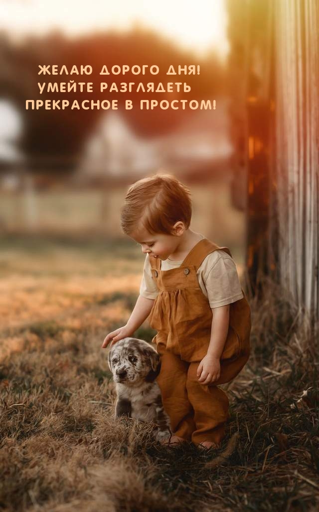 Желаю дорого дня! Умейте разглядеть прекрасное в простом!