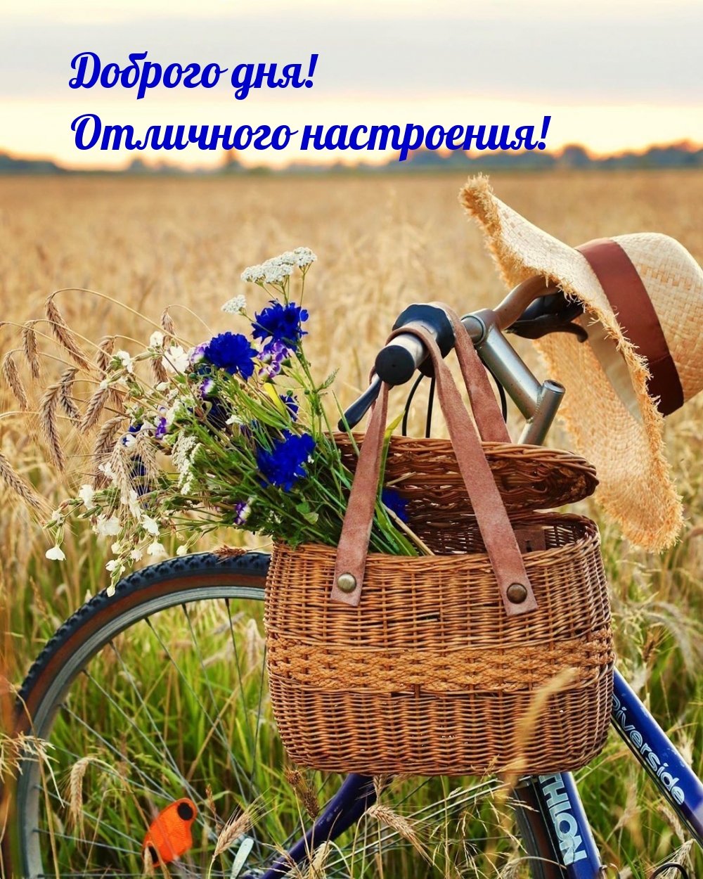 Доброго дня! Отличного настроения!