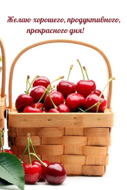 Желаю хорошего, продуктивного, прекрасного дня!
