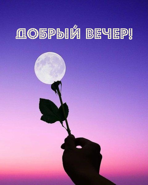 Добрый вечер!