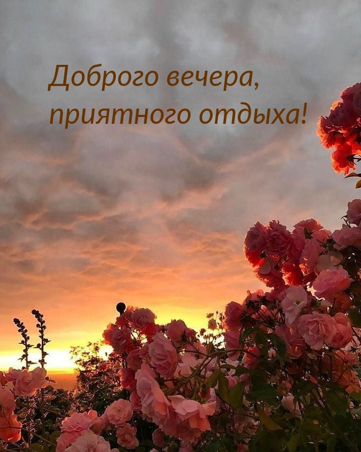 Доброго вечера, приятного отдыха!