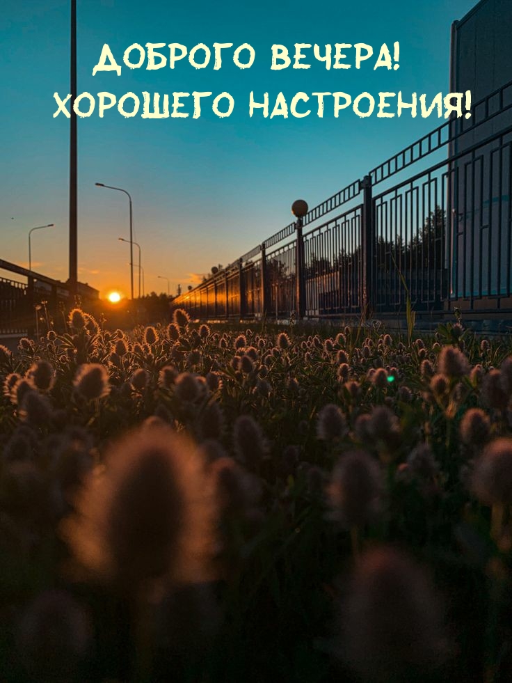 Доброго вечера! Хорошего настроения!