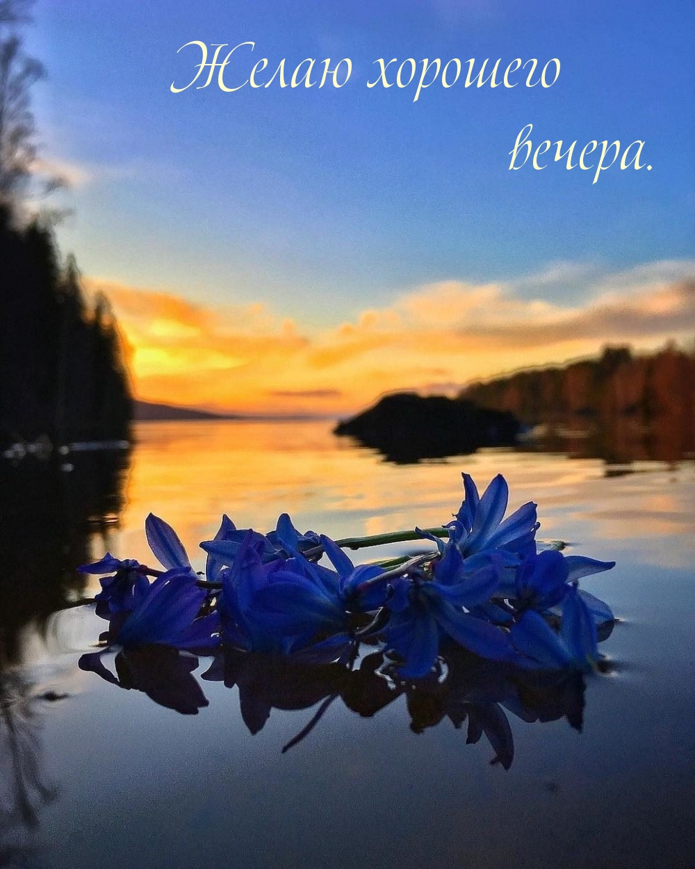 Желаю хорошего вечера.