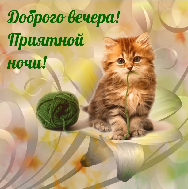 Доброго вечера! Приятной ночи!