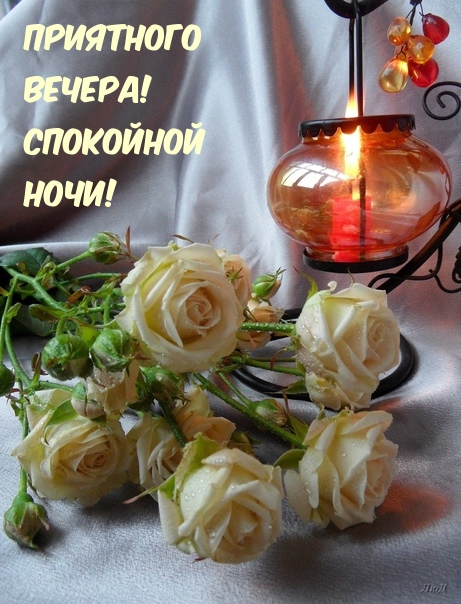 Приятного вечера! Спокойной ночи!