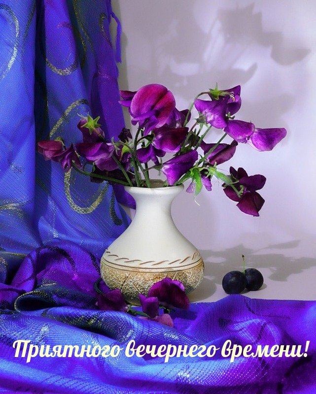 Приятного вечернего времени!