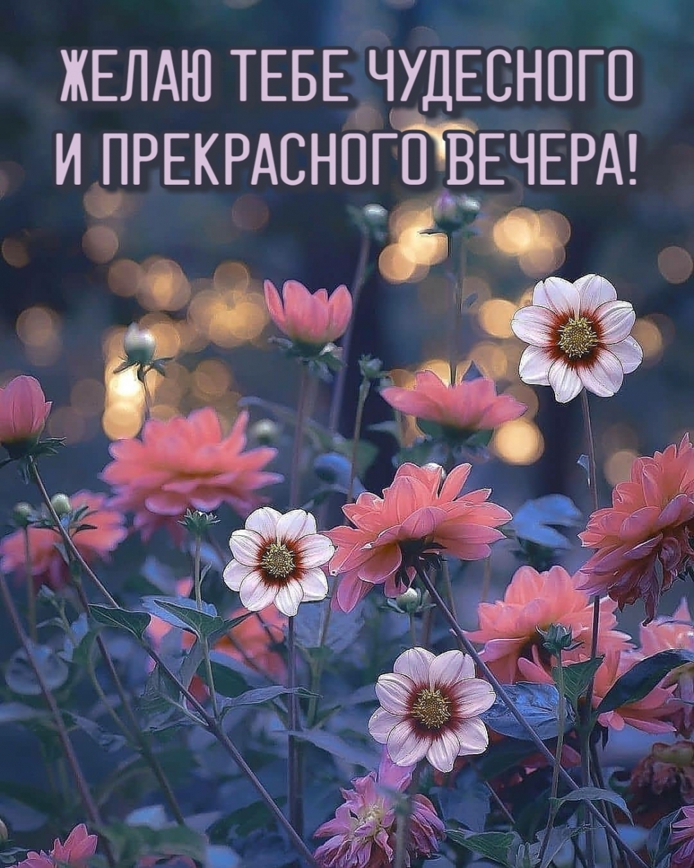 Желаю тебе чудесного и прекрасного вечера!