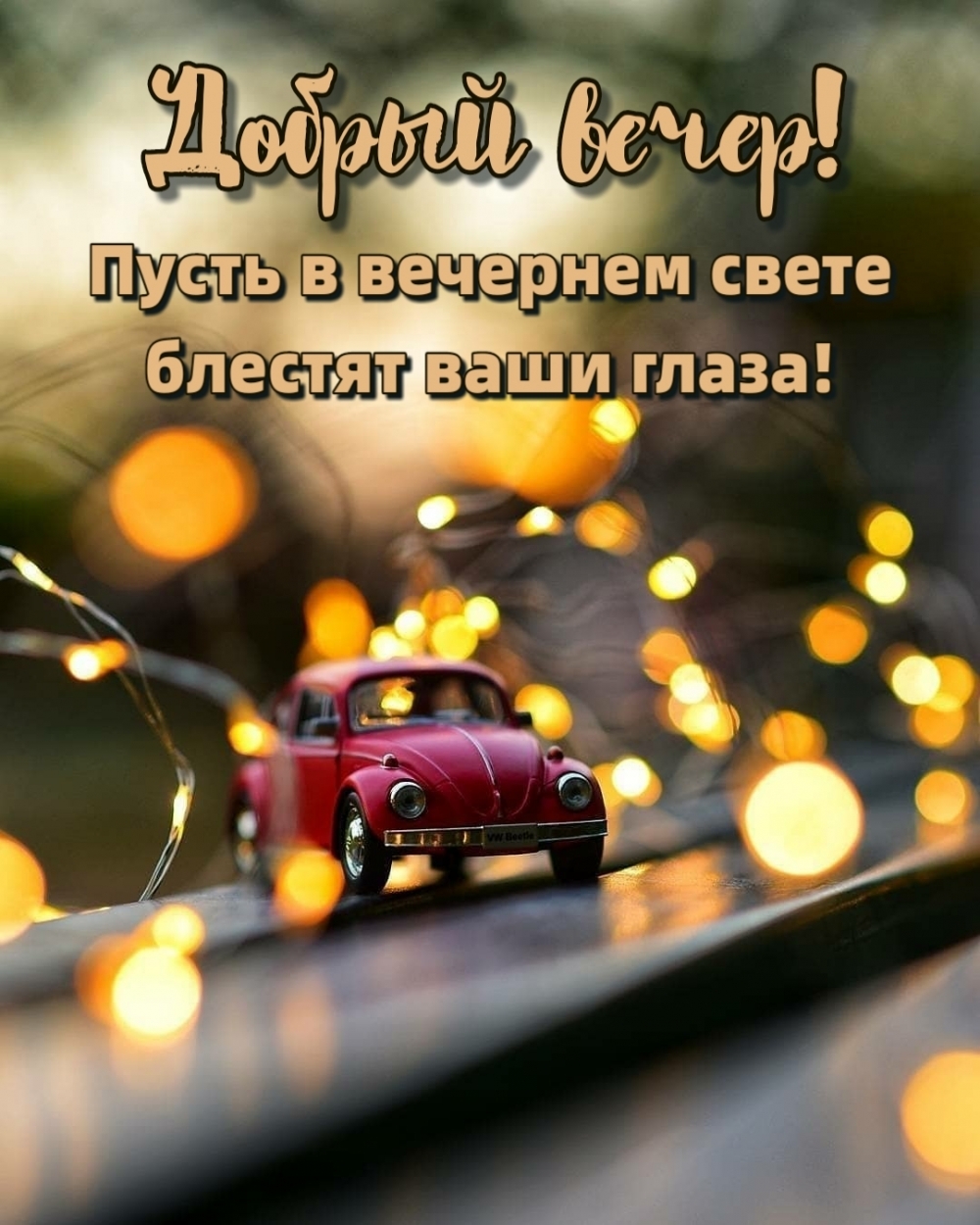 Добрый вечер! Пусть в вечернем свете блестят ваши глаза!
