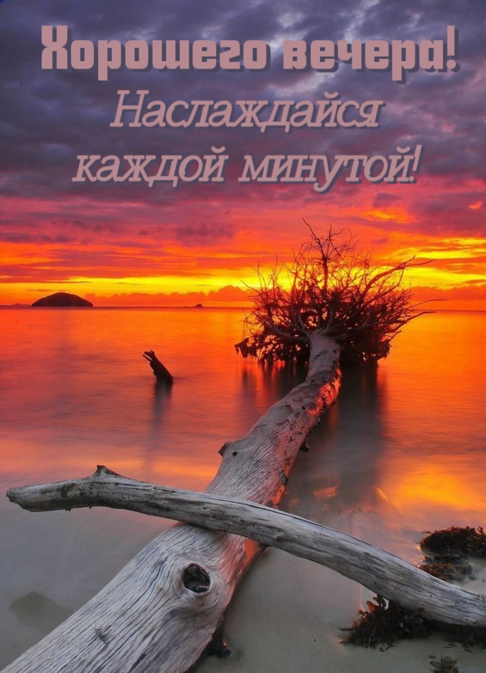 Хорошего вечера! Наслаждайся каждой минутой!