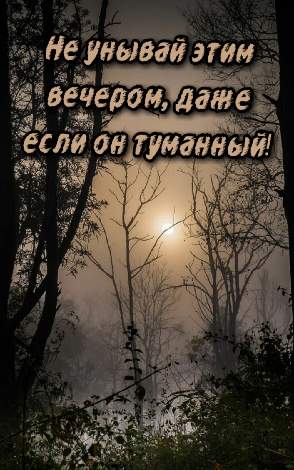 Не унывай этим вечером, даже если он туманный!