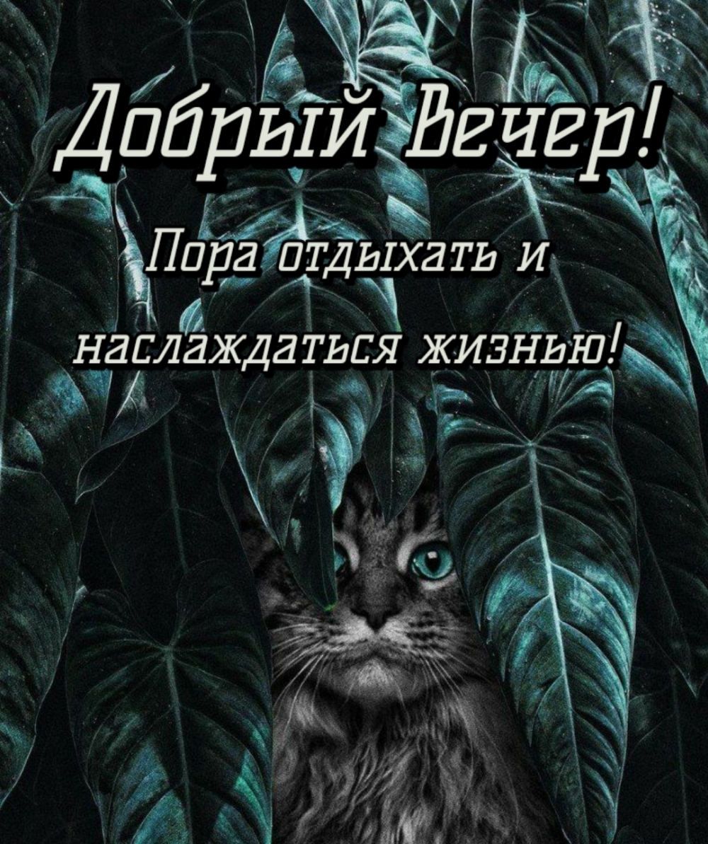 Доброго вечера! Пора отдыхать и наслаждаться жизнью!