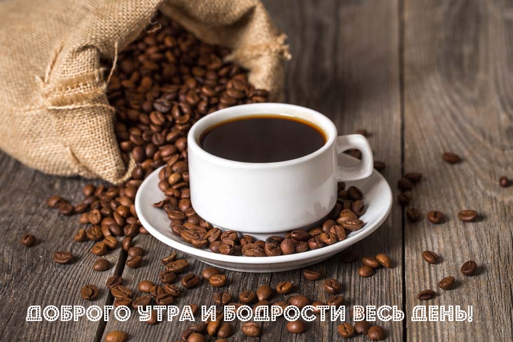 Доброго утра и бодрости весь день!